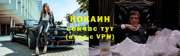 дмт Пересвет