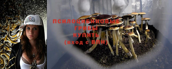 а пвп мука Няндома