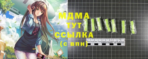 индика Пестово